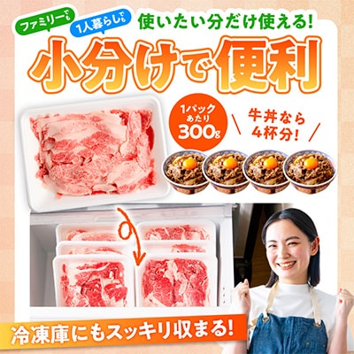 国産 牛肉 切り落とし 1.5kg(300g×5)【氷温熟成×極味付け】