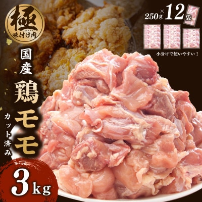 【氷温熟成×極味付け】国産 鶏肉もも カット済み 3kg 小分け 250g×12P 099H2872