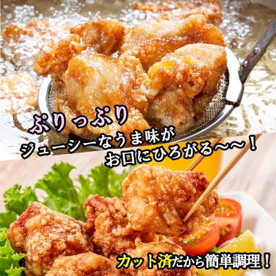 【氷温熟成×極味付け】国産 鶏肉もも カット済み 3kg 小分け 250g×12P 099H2872