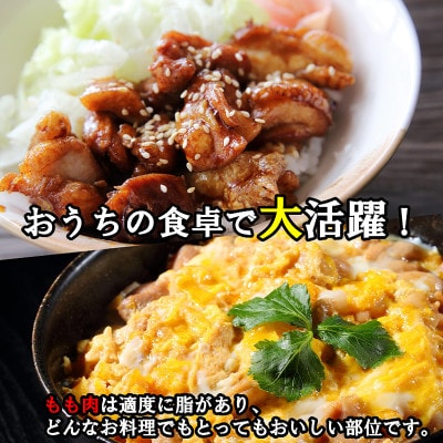 【氷温熟成×極味付け】国産 鶏肉もも カット済み 3kg 小分け 250g×12P 099H2872