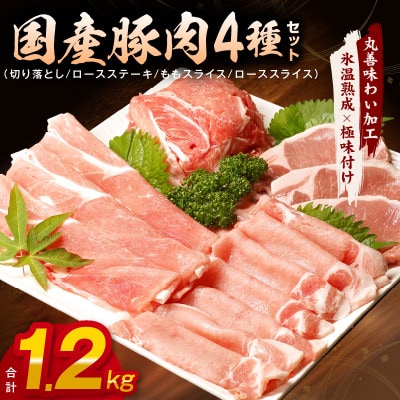 国産豚肉 4種 総量1.2kg 小分け 300g×4P【氷温熟成×極味付け】mrz0010