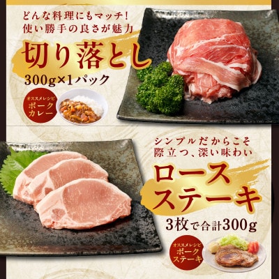 国産豚肉 4種 総量1.2kg 小分け 300g×4P【氷温熟成×極味付け】mrz0010