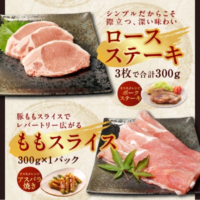 国産豚肉 5種食べ比べ 合計1.5kg【氷温熟成×極味付け】mrz0034