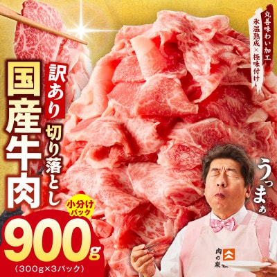 国産 牛肉 切り落とし 900g(300g×3)【氷温熟成×極味付け】mrz0117