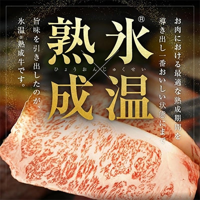 【氷温熟成×極味付け】黒毛和牛A4等級 ロースステーキ400g(2枚で合計400g) mrz0457