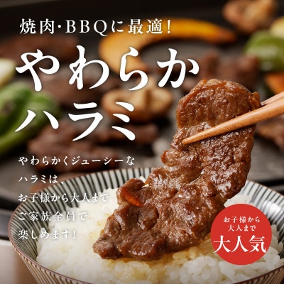 【さとふる限定】やわらかハラミ 2kg 氷温熟成×特製旨ダレ 小分け 4パック mrz0232