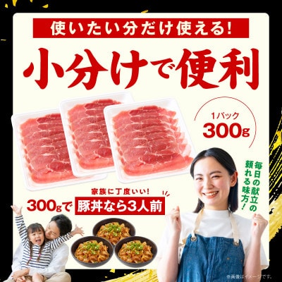 【氷温熟成×極味付け】国産 豚肉 もも スライス 2.7kg(300g×9) mrz0248