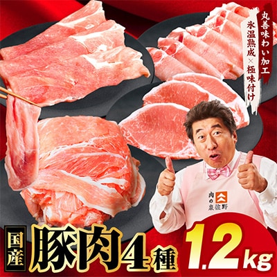 国産 豚肉 4種 総量 1.2kg(300g×4P) 氷温熟成×極味付け 小分け mrz0247