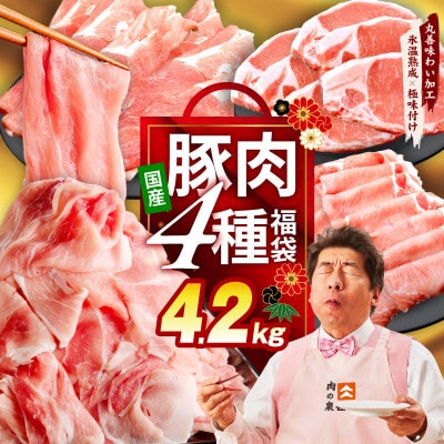国産豚肉 4種 福袋 4.2kg 氷温熟成×極味付け 小分け 300gパック mrz0341