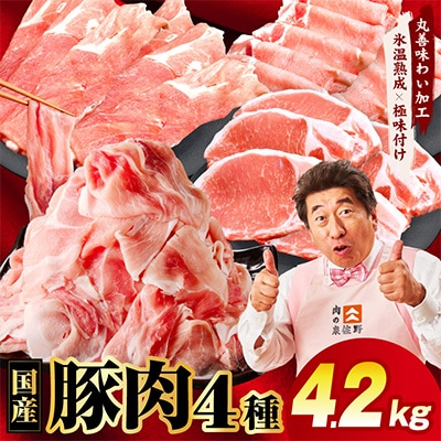 国産豚肉 4種 福袋 4.2kg 氷温熟成×極味付け 小分け 300gパック mrz0341