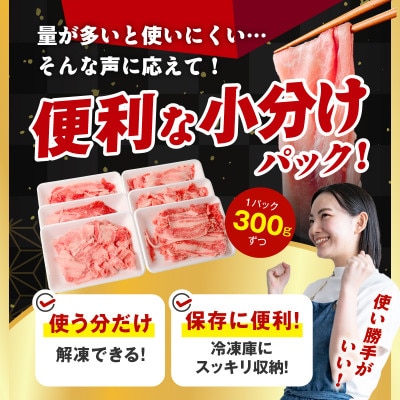 国産豚肉 4種 福袋 4.2kg 氷温熟成×極味付け 小分け 300gパック mrz0341