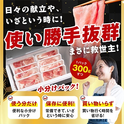 国産豚肉 4種 福袋 4.2kg 氷温熟成×極味付け 小分け 300gパック mrz0341