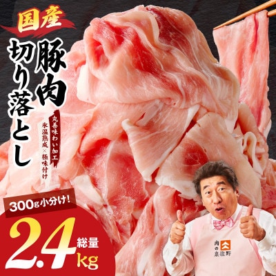 国産 豚肉 切り落とし 2.4kg 氷温熟成×極味付け 小分け mrz0303