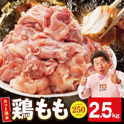【小分け】国産鶏もも肉 2.5kg(250g×10P) カット済み 氷温熟成×極味付 mrz0446