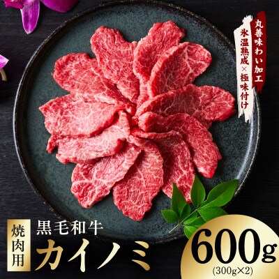 【氷温熟成×極味付け】黒毛和牛 カイノミ 焼肉用 600g 小分け 300g×2P mrz0445