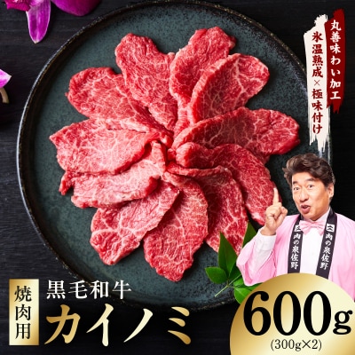 【氷温熟成×極味付け】黒毛和牛 カイノミ 焼肉用 600g 小分け 300g×2P mrz0445