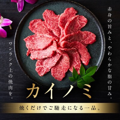 【氷温熟成×極味付け】黒毛和牛 カイノミ 焼肉用 600g 小分け 300g×2P mrz0445