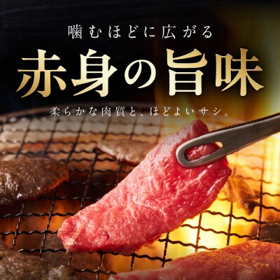 【氷温熟成×極味付け】黒毛和牛 カイノミ 焼肉用 小分け 300g×1P mrz0444