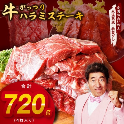 がっつり!牛ハラミステーキ 720g 氷温熟成×特製ダレ 小分け 360g×2P mrz0375
