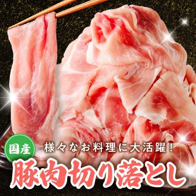 【お試し】国産 豚肉 切り落とし 900g 氷温熟成×極味付け  300g×3P mrz0447