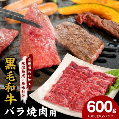 【氷温熟成×極味付け】黒毛和牛 バラ 焼肉用 600g 切り落とし 小分け mrz0440