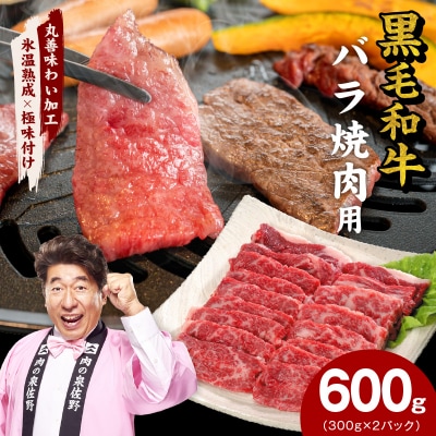 【氷温熟成×極味付け】黒毛和牛 バラ 焼肉用 600g 切り落とし 小分け mrz0440