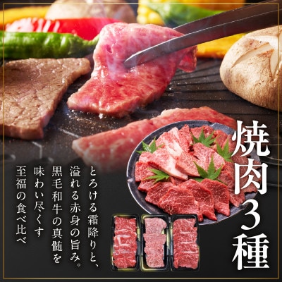 【お中元/熨斗】 黒毛和牛お肉の贈り物焼肉3種360g化粧箱入 氷温熟成×極味付け　mrz0465t