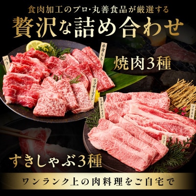 黒毛和牛 お肉の贈り物 6種 720g 焼肉3種&すきしゃぶ3種 化粧箱入り mrz0469