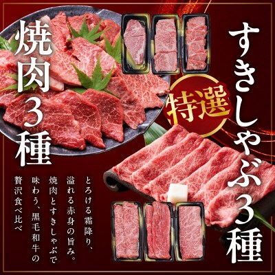 特選黒毛和牛 お肉の贈り物 6種 720g 焼肉3種&すきしゃぶ3種 化粧箱入り mrz0470