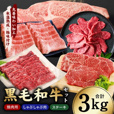 【氷温熟成×極味付け】黒毛和牛セット 合計3kg 焼肉 しゃぶしゃぶ ステーキ mrz0504