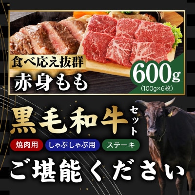 【氷温熟成×極味付け】黒毛和牛セット 合計3kg 焼肉 しゃぶしゃぶ ステーキ mrz0504