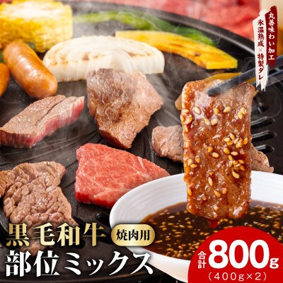 黒毛和牛 部位ミックス 焼肉用 800g 氷温熟成×特製ダレ 小分け mrz0508