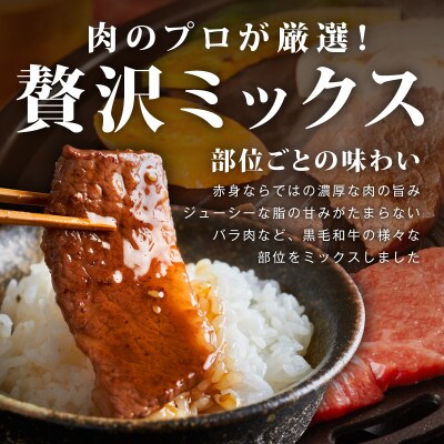黒毛和牛 部位ミックス 焼肉用 800g 氷温熟成×特製ダレ 小分け mrz0508