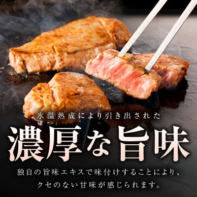 【氷温熟成×極味付け】黒毛和牛 ヒレステーキ & サイコロステーキ 合計 480g　mrz0319