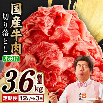 【毎月定期便】国産牛肉 切り落とし 総量3.6kg 極味付け 1.2kg×全3回