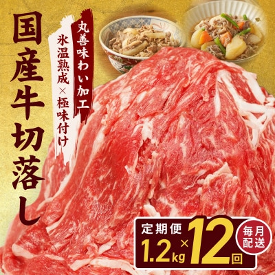 【毎月定期便】国産牛肉 切り落とし 総量14.4kg 極味付け 1.2kg×全12回 099Z308