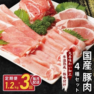 【毎月定期便】【氷温熟成×極味付け】国産 豚肉 4種セット 1.2kg 099Z211全3回