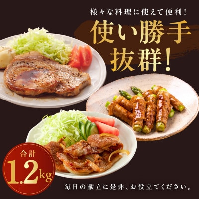 【毎月定期便】【氷温熟成×極味付け】国産 豚肉 4種セット 1.2kg 099Z211全3回