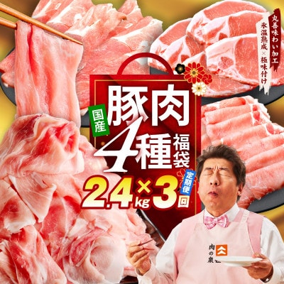 【毎月定期便】国産豚肉 4種 2.4kg【氷温熟成×極味付け】 mrzZ024全3回