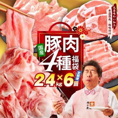 【毎月定期便】国産豚肉 4種 2.4kg【氷温熟成×極味付け】 mrzZ025全6回