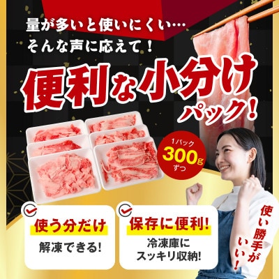 【毎月定期便】国産豚肉 4種 2.4kg【氷温熟成×極味付け】 mrzZ025全6回