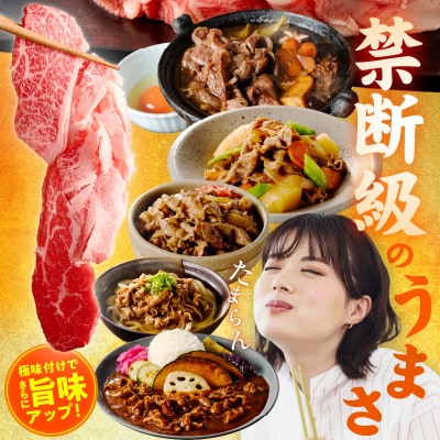 【毎月定期便】国産牛 切り落とし 1.2kg【氷温熟成×極味付け 小分け】 mrzZ076全2回