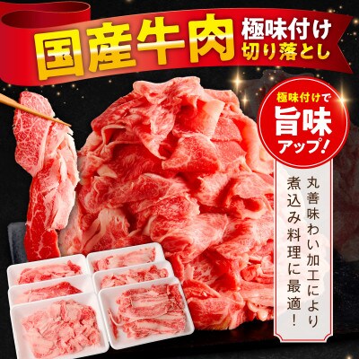【3ヵ月毎定期便】国産牛 切り落とし 1.5kg 氷温熟成×極味付け 訳あり 全2回 mrzZ104