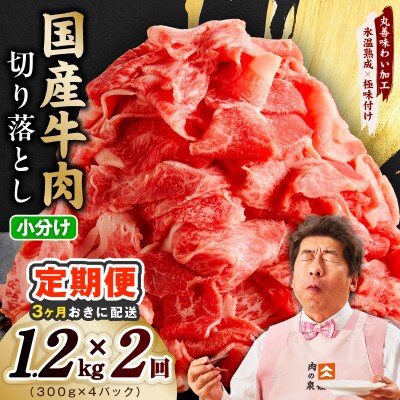 【3ヵ月毎定期便】国産牛 切り落とし 1.2kg 氷温熟成×極味付け 訳あり mrzZ103全2回