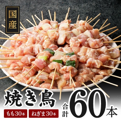 国産 焼鳥(もも ねぎま) 60本 総量1.8kg (小分け 10本×6) 010B1139