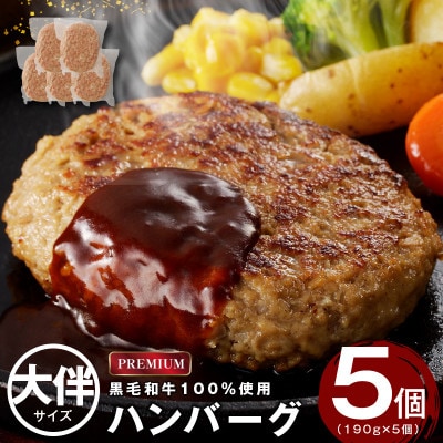 黒毛和牛100% プレミアム ハンバーグ 5個 大判サイズ 099H1962