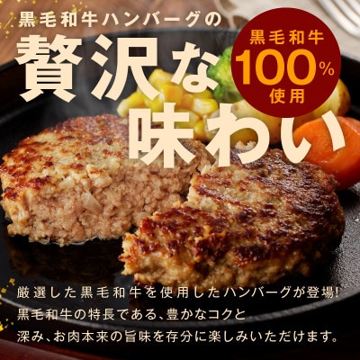 黒毛和牛100% プレミアム ハンバーグ 5個 大判サイズ 099H1962