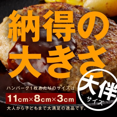 牛肉100% 極み ハンバーグ 10個 大判サイズ 099H1963