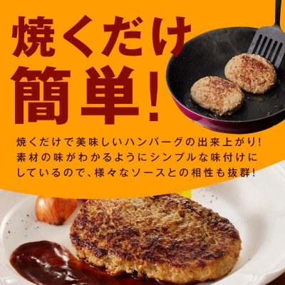 牛肉100% 極み ハンバーグ 10個 大判サイズ 099H1963