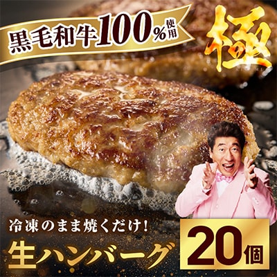 黒毛牛肉100% 極み 生ハンバーグ 180g×20個 G3631